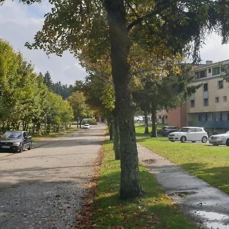 Apartament Sophia
